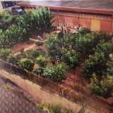 Un raro �giardino urbano� che � riuscito quindi a farsi largo tra l�asfalto e il cemento, ma che rischia adesso di essere cancellato per sempre. A fine giugno infatti il �contadino� ha dovuto riconsegnare le chiavi dell�appezzamento su richiesta del proprietario